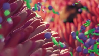 Microbiome intestine factories and microbiota. Gut health 3d render. Microvilli with factories in intestine 
