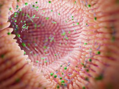 Mikrobiyom bağırsak fabrikaları ve mikrobiyota. Gut Health 3D görüntüleme. Bağırsakları fabrikalı Microvilli. 