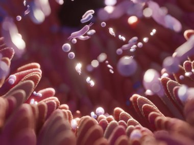 Microbiome intestine factories and microbiota. Gut health 3d render. Microvilli with factories in intestine 