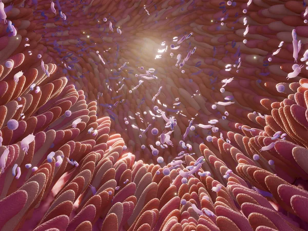 Mikrobiyom bağırsak fabrikaları ve mikrobiyota. Gut Health 3D görüntüleme. Bağırsakları fabrikalı Microvilli. 
