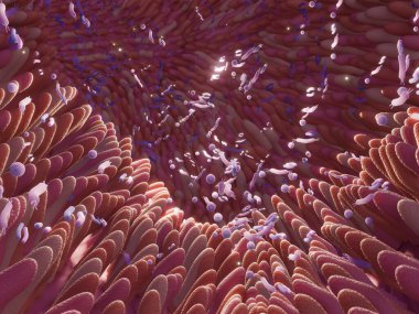 Mikrobiyom bağırsak fabrikaları ve mikrobiyota. Gut Health 3D görüntüleme. Bağırsakları fabrikalı Microvilli. 