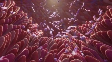 Mikrobiyom bağırsak fabrikaları ve mikrobiyota. Gut Health 3D görüntüleme. Bağırsakları fabrikalı Microvilli. 