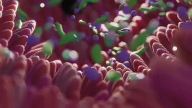 Microbiome intestine factories and microbiota. Gut health 3d render. Microvilli with factories in intestine 
