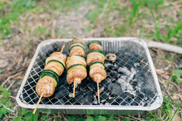 Закрыть одноразовый гриль для пикника на открытом воздухе с овощами на деревянной палочке. — стоковое фото