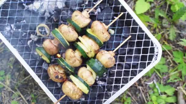 Zárja Egyszemélyes Grill Szabadban Piknik Zöldségek Bottal Igen Kiváló Minőségű — Stock videók