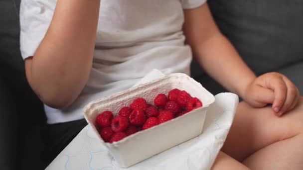 Κοντινό Πλάνο Παιδιών Που Τρώνε Σμέουρα Από Χάρτινο Δοχείο Υγιεινή — Αρχείο Βίντεο