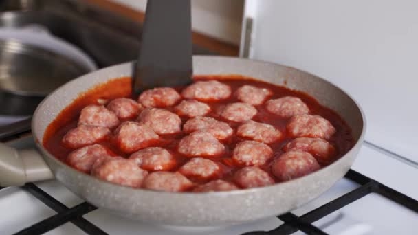 Meatballs Proces Gotowania Patelni Domu Wołowina Kurczak Mięso Wieprzowe Przepis — Wideo stockowe