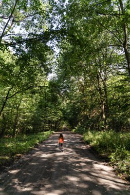 Preschool caucasian girl rare view in forest with green leaves trees hiking on a trail. High quality photo