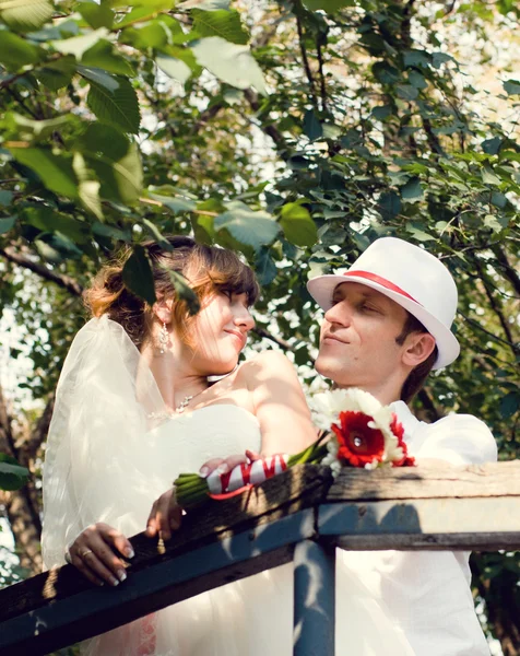 Joven pareja de boda —  Fotos de Stock