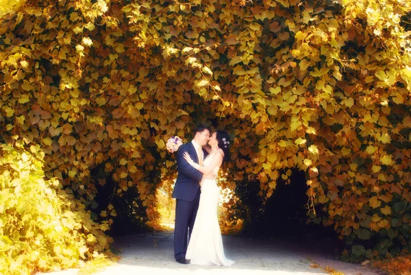 Le couple dansant dans le parc — Photo