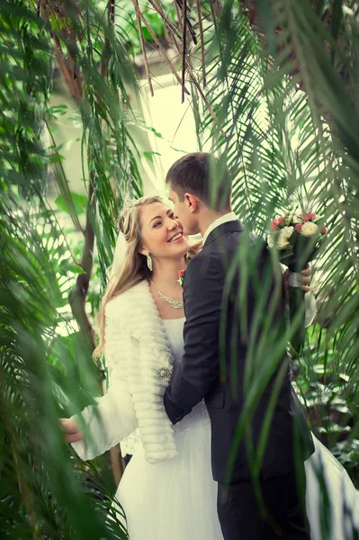 O casal dançando no parque — Fotografia de Stock