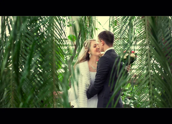 O casal dançando no parque — Fotografia de Stock