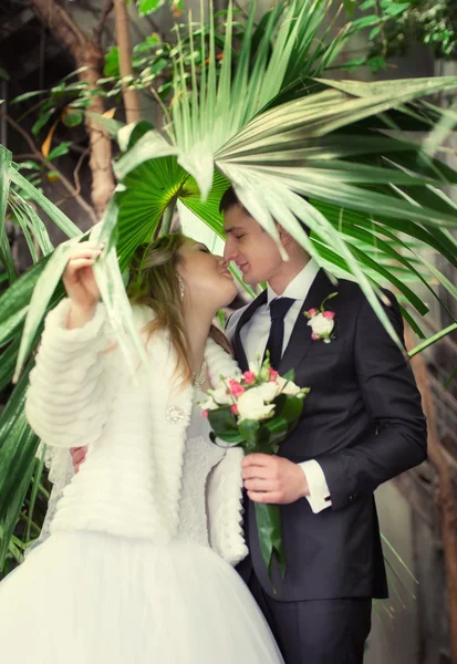 O casal dançando no parque — Fotografia de Stock