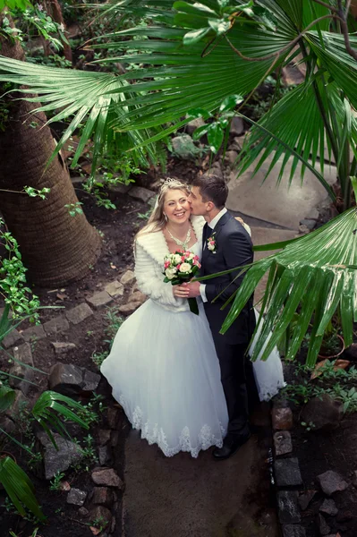 O casal dançando no parque — Fotografia de Stock