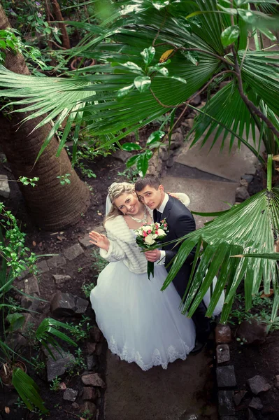 Jovem casal de casamento — Fotografia de Stock