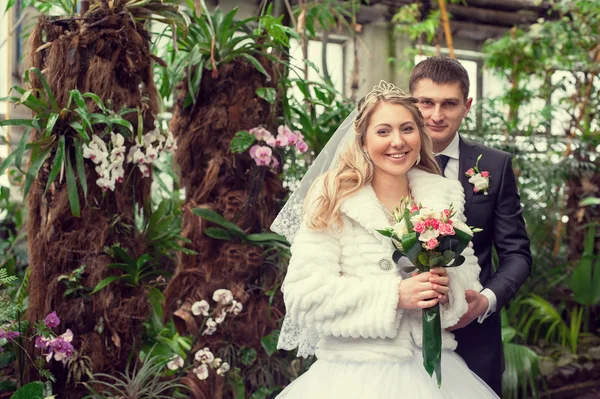 Joven pareja de boda —  Fotos de Stock