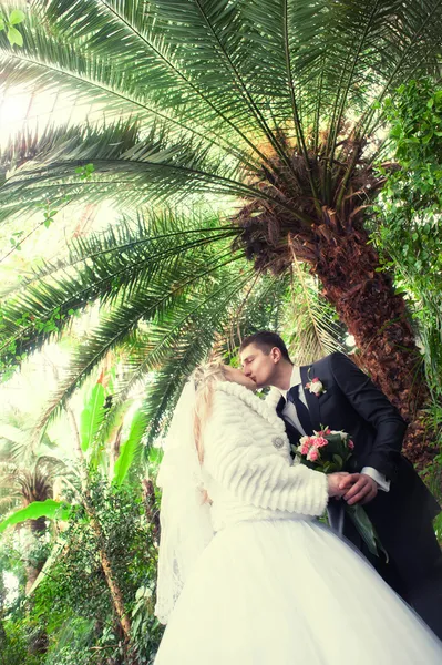 Jovem casal de casamento — Fotografia de Stock