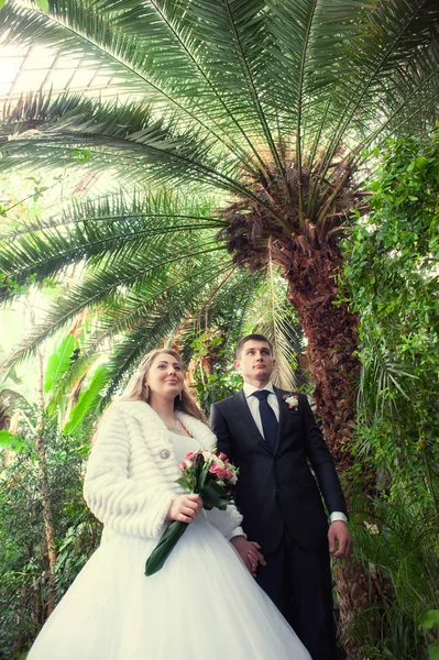 Jovem casal de casamento — Fotografia de Stock