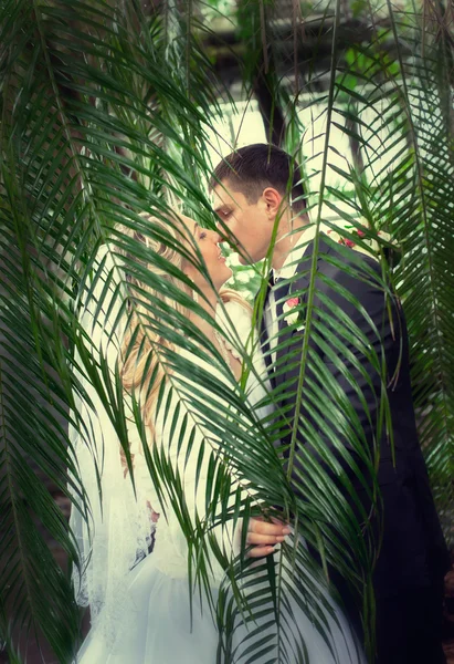 Young wedding couple — Stock Photo, Image