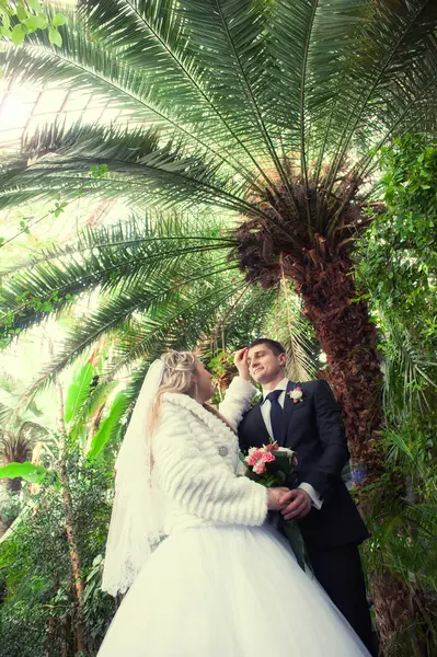 Joven pareja de boda — Foto de Stock