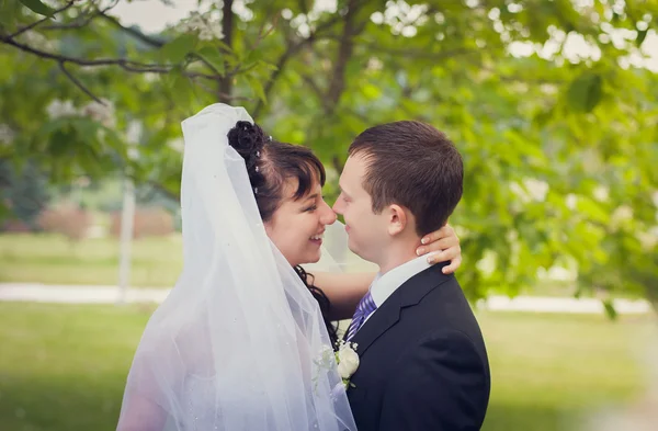 Walk of newly-weds — Stock Photo, Image