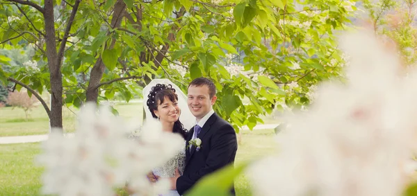 Caminhada de recém-casados — Fotografia de Stock