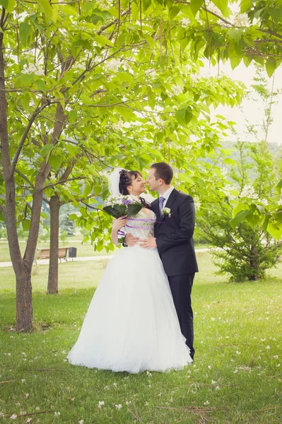 Caminhada de recém-casados — Fotografia de Stock