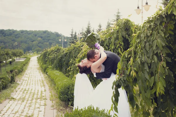 Caminhada de recém-casados — Fotografia de Stock