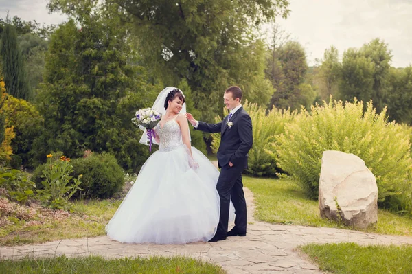 Walk of newly-weds — Stock Photo, Image