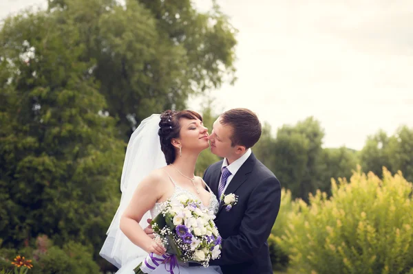 Walk of newly-weds — Stock Photo, Image