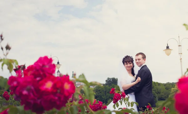 Walk of newly-weds — Stock Photo, Image