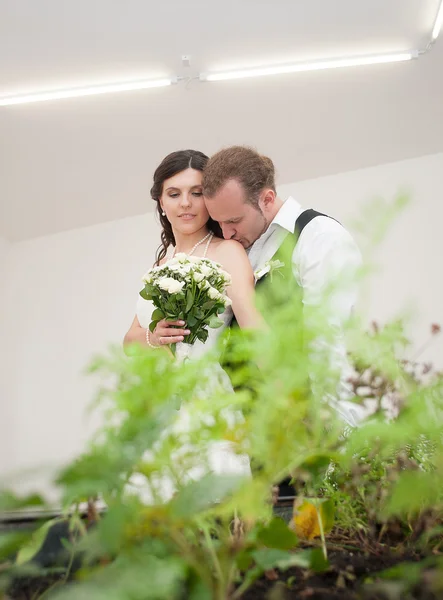 Bruden och brudgummen över bröllop — Stockfoto