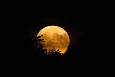 Ona en büyük supermoon olarak da adlandırılan moon 