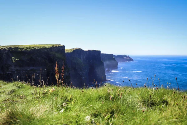 World Famous Cliffs Moher County Clare Ireland Scenic Irish Rural — Stock Photo, Image