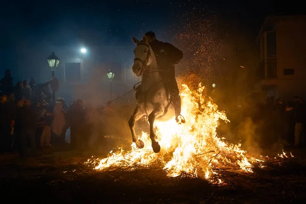 Acto Purificación Caballos Celebrado San Bartolomé Pinares Ávila España Febrero — Foto de Stock