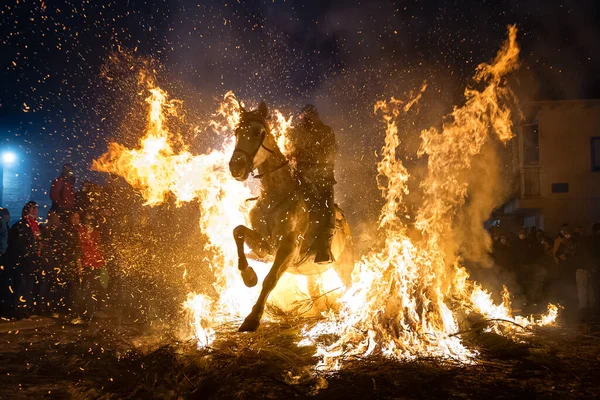 San Bartolome de Pinares, Avila, İspanya 'da her yıl 16 Şubat' ta düzenlenen at arındırma eylemi