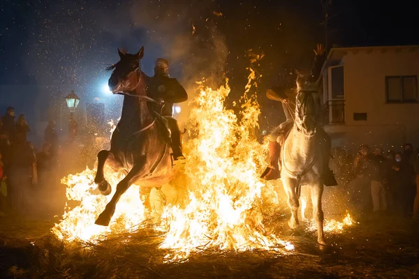 每年2月16日在西班牙阿维拉市San Bartolome Pinares举行的马匹净化活动 — 图库照片