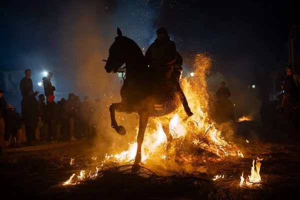 Acto Purificación Caballos Celebrado San Bartolomé Pinares Ávila España Febrero —  Fotos de Stock