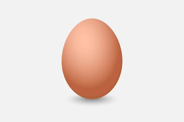 Beyaz Arkaplanda Çiğ Yumurta Tasarımı — Stok fotoğraf