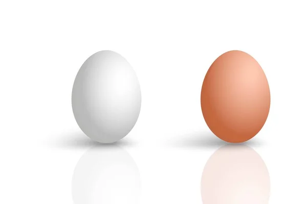 Raw Eggs White Background Illustration Design — Fotografia de Stock