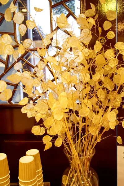 Altın Çiçek Aranjman pencere tarafından — Stok fotoğraf