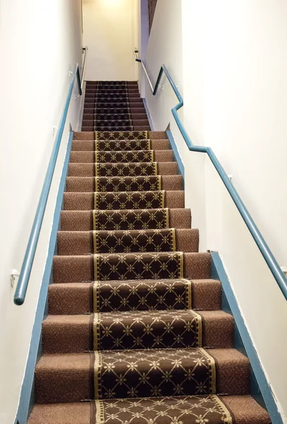 Carpeted staircase leading to office level — Stock Photo, Image