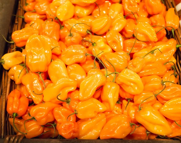 Basket of habaneros peppers at market — Stock Photo, Image