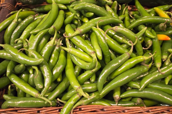 Basket of green peppers at market — Stock Photo, Image