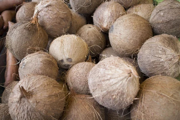Fresh coconuts at open air market — Stock Photo, Image