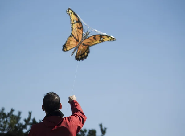 Man and kite on sunny day — Stock Photo, Image
