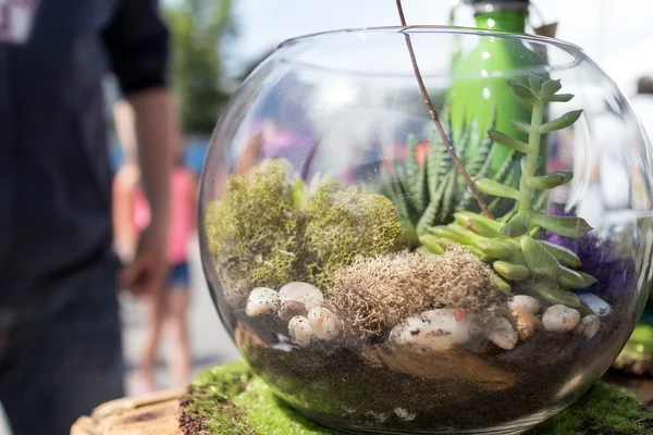 Fishbowl at outdoor fest — Stock Photo, Image