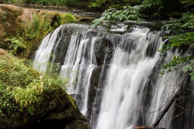 Whatcom falls-görünümünden yaya köprüsü