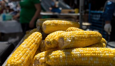 Koçanda taze mısır