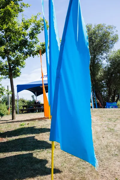 Blue flags on field — Stock Photo, Image